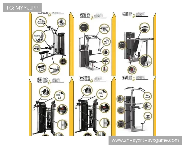 关于健身器材的全面介绍及常见种类归纳 关于健身器材的全面介绍及常见种类归纳